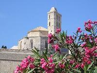 De kenmerkende kathedraal van Ibiza die hoog boven de oude stad uittorent